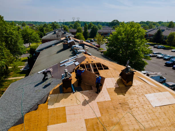 24/7 Emergency Roof Repair experts in Loganville, GA